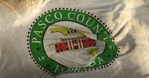 Pasco old flag, county of the state of Florida, United States of America 스톡 일러스트