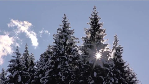 Paseky in Vratna Video stock 82990650