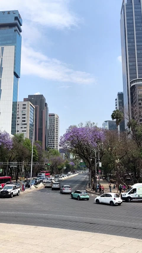 Paseo de la Refoma in Mexico City view Vídeos de archivo 336916707