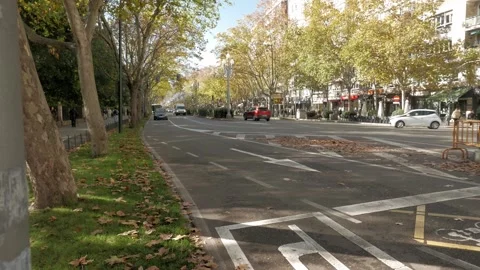 Paseo de Zorrilla Stock Footage 325419170