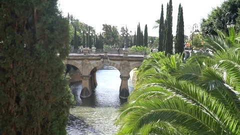 Paseo Mallorca in Palma Stock Footage 128350056