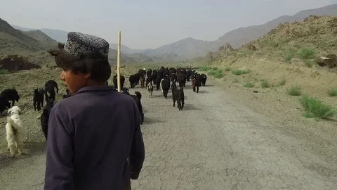 Pashtun shepherd boy Stock Footage 95708154