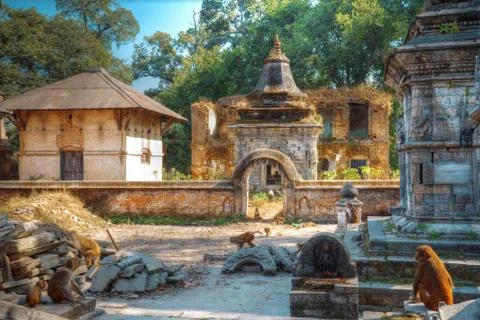 Pashupatinath Temple Stock Photos