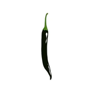 Pasilla Chile Isolated on White Background 스톡 일러스트