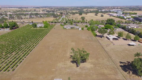 Paso Robles California Aerial Pullback View of Vineyard and Rural Homes Vídeo Stock 335246604