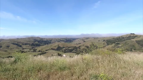 Paso Robles California 動画素材 233669418