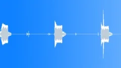 Pass Code (1)Sound Effect
