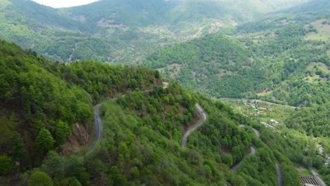 Pass in the mountain forest Stock-Footage 168944181