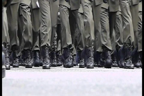 Pass in review Stock Footage 737604