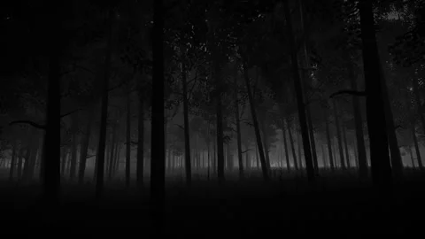 Pass Through Moving in Dark Forest during Lightning Storm Stock-Footage 339369229