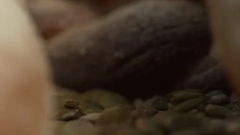 The passage of the articles of bread Stock Footage 81275867