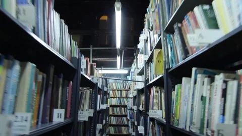 Passage Between the Book Stylas Stock Footage 87968820