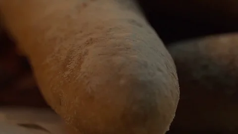 Passage camera roll. Slow motion Stock Footage 81275836