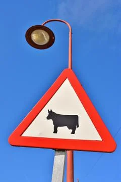 Passage of domestic animals, road sign Stock Photos