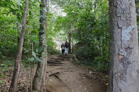Passage in the mountain forests. Stock Photos