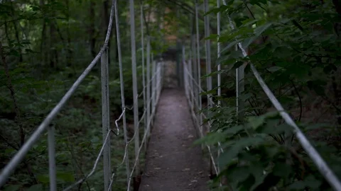 Passage over the bridge in the middle of the forest. First-person view Stock Footage 113973632