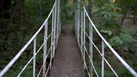 Passage over the bridge in the middle of the forest. First-person view Stock Footage 113973706