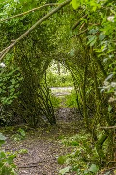 Passage in a thicket Stock Photos