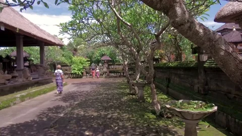 Passage through the territory of a Buddhist temple (Bali) Stock Footage 98321880