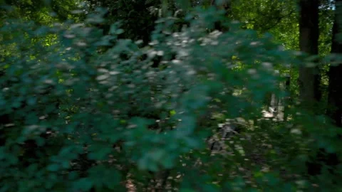 The passage of time Stock Footage 279647915