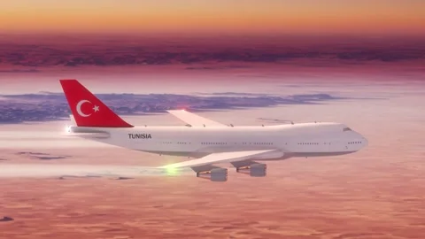 Passanger Plane Flying over Desert with Country Flag Turkey Stock Footage 286334903