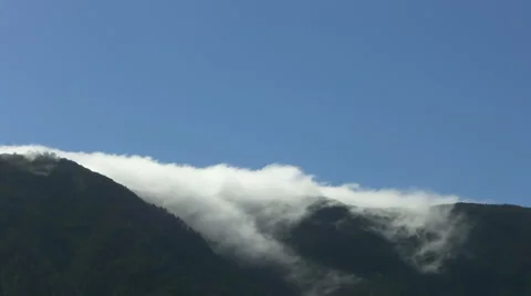 Passat Stock Footage 933084