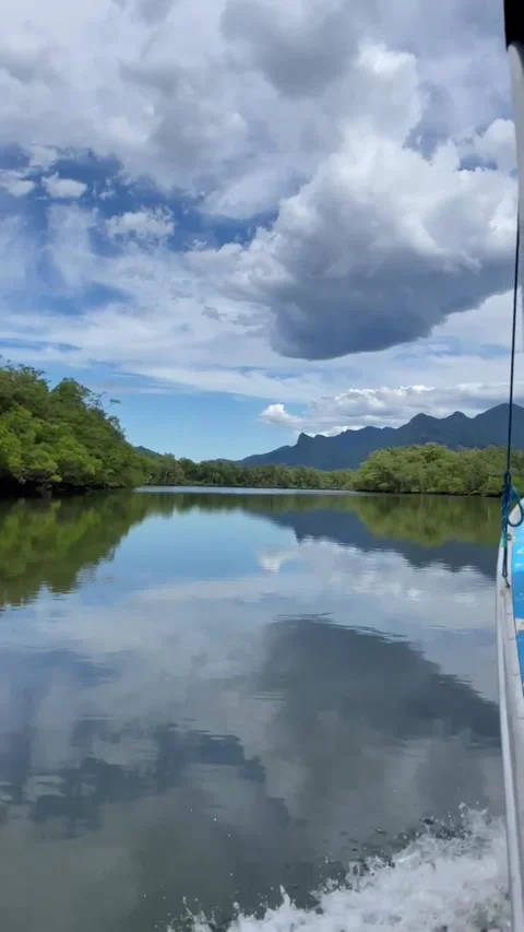 Passeio de barco em rio brasileiro Stock Footage 294769633