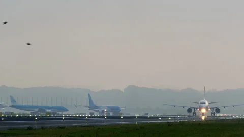 Passenger airplane accelerating and taking off from an airport runway at dawn Video stock 300615690