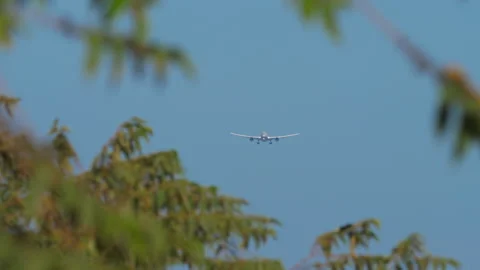 Passenger airplane approaching landing framed by tree leaves in blue sky Stock Footage 344354185