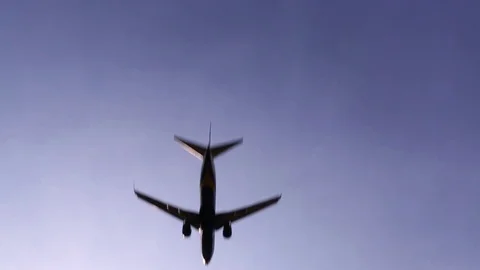 Passenger airplane view from below. Video stock 75046972