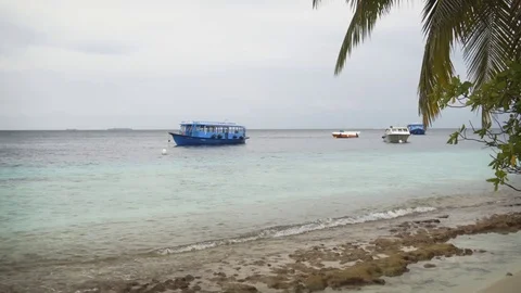 Passenger Boats Anchored near the Beach on in the Maldives Vidéo 75069341