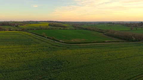 Passenger car driving through rural countryside between green fields and Stock Footage 336969481