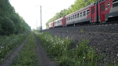 A passenger electric train passes through the forest. Camera is moving. 스톡 동영상 195908250