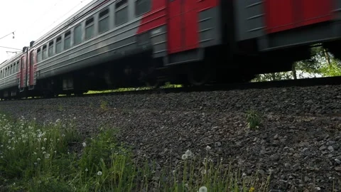 A passenger electric train passes through the forest. Camamera is moving. Video stock 195908296