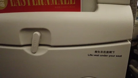 Passenger inside airplane 스톡 동영상 123081249