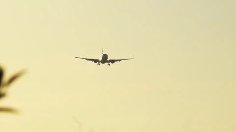 Passenger jet on final approach landing at golden sunset Stock-Footage 337795534