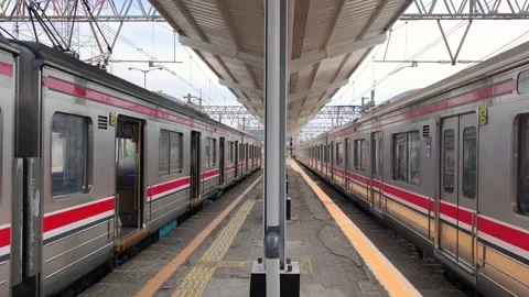 Passenger lanes between arriving and departing trains Stock Footage 310091892