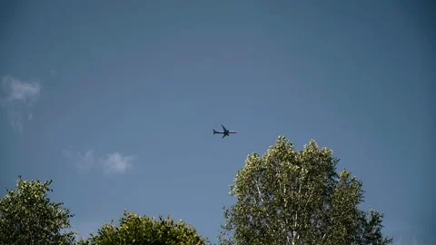 A passenger liner flies over the trees in the sky Stock Footage 315791430