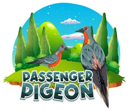 Passenger pigeon extinction bird Stock Illustration