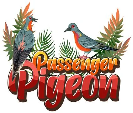 Passenger pigeon extinction bird Stock Illustration