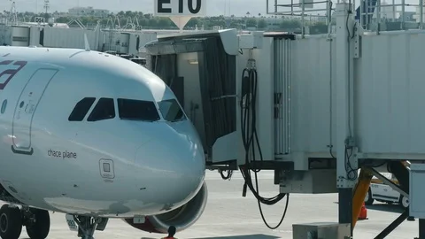 Passenger Plane Arriving Vidéo 71943945