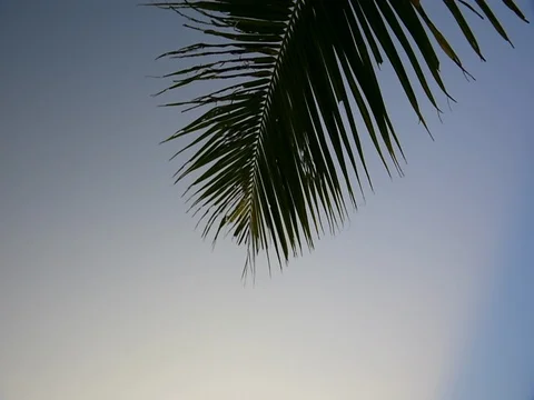 Passenger plane during landing Stock Footage 81303540