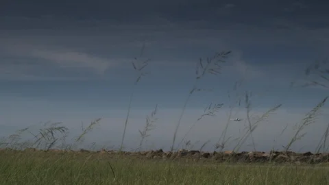 Passenger Plane Flies Low To Ground Video stock 94134475