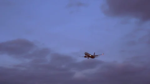 Passenger plane flies in the sky. Preparing for landing. purple sky background Stock Footage 105701295