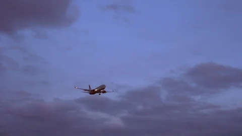 Passenger plane flies in the sky. Preparing for landing. purple sky background Video stock 105702053