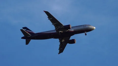 Passenger plane flying in the blue sky Stock-Footage 101176746