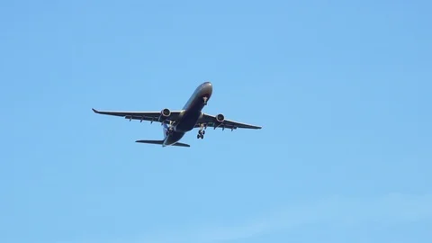 Passenger plane flying in the blue sky 스톡 동영상 101176866