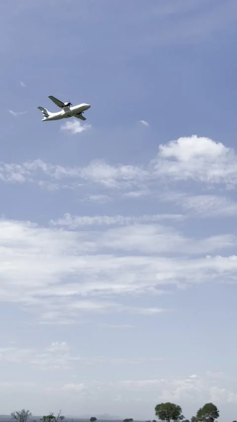 Passenger plane flying low over wild elephants in Mikumi Tanzania vertical Vidéo 344476755