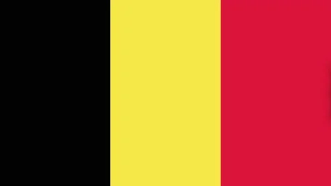 Passenger plane flying over the flag of Belgium. Stock Footage 229672476