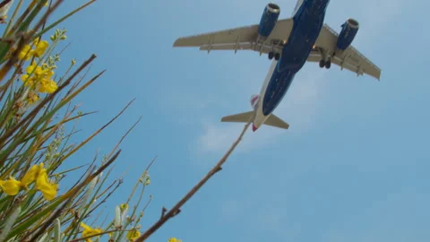 Passenger plane is landing Stock Footage 250282880
